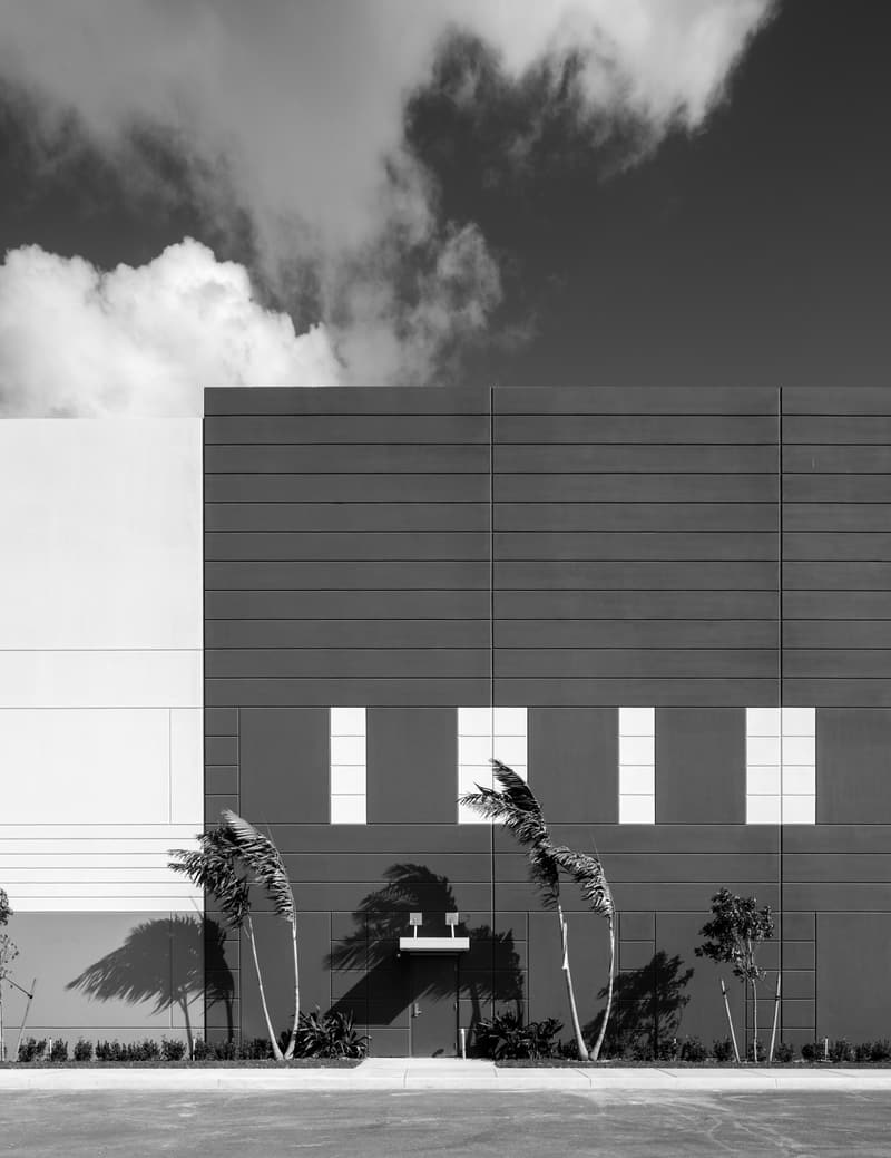 Concrete tilt-wall warehouse with wind-bent palms